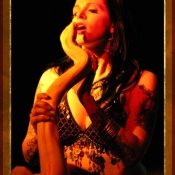 seismic-sideshow-davewright-2011-1015-21
