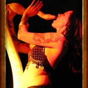 seismic-sideshow-davewright-2011-1015-22