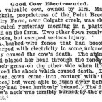 1901_0924_Good Cow Electrocuted_WEB